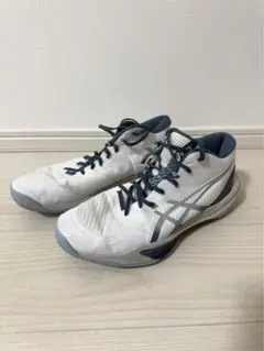 Item thumbnail for item 38dccd58-0cf3-4f25-aec8-a53f3887ac0c