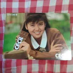 南野陽子　CECI チョコレート 下じき1997年春