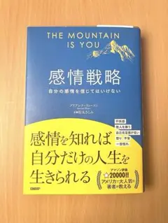 感情戦略