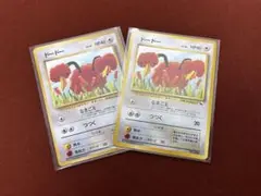 【高騰中】ドードー 拡張シート クイックスターターギフト 美品 希少 旧裏