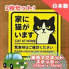 Item thumbnail for item 3b4cf594-771f-43da-afa3-8779ddcc9428