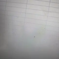 Item thumbnail for item ae83524a-9aa3-46f3-9798-87384a959620