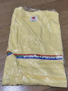 angelaPRYTHEMツアーTシャツMサイズ
