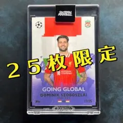【25枚限定】 ソボスライ TTF 《Going Global》