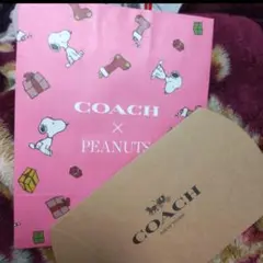 COACHスヌーピーギフトボックスu0026紙袋