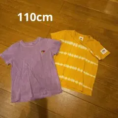 FRUIT OF THE LOOM Tシャツ 110cm 2枚セット