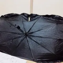 Item thumbnail for item ca109a99-ac03-44f2-a3df-815216ac8434