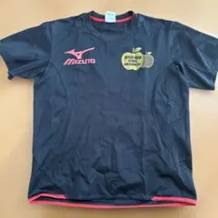 ミズノ　インターハイTシャツ　Ｍ