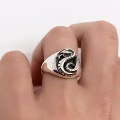 ドラコ・マルフォイ リング 指輪 ハリーポッター ハリポタ ロン ハーマイオニー