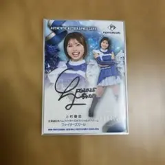 Item thumbnail for item a9544978-15f3-4d41-87ac-fa8d0458990e