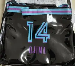 ☆新品☆ 千葉ロッテマリーンズ 小島和哉選手 クリアサコッシュ