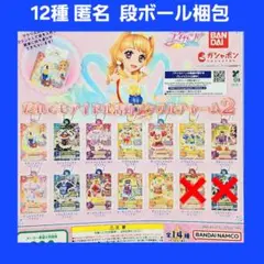 12種 だれでもアイドル活動アクリルチャーム 2 ガチャ アイカツ 2弾
