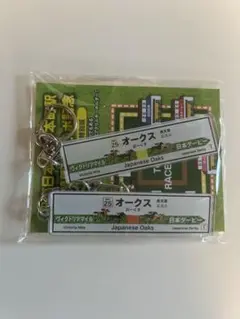 JRA 競馬 東京競馬場 ウェルカムチャンス アクリルキーホルダー 2個セット