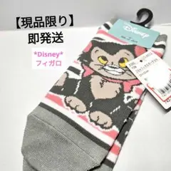【現品限り】【即発送】Disney　フィガロ　靴下　アベイル