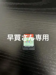 あつまれどうぶつの森 Switch
