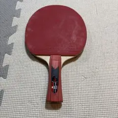 BUTTERFLY MIZUTANI JUN 2000 卓球ラケット