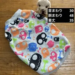 Item thumbnail for item eae31549-c32b-4fc7-ba2e-7cd867b915ec