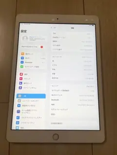 iPad 第8世代 SIMフリー 128GB【Aランク】