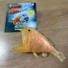 オニキンメ　 オーシャンアタック　&co デアゴスティーニ　アンドコ