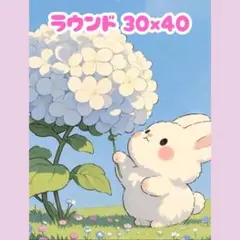 No.1235 ダイヤモンドアートキット ラウンド うさぎ
