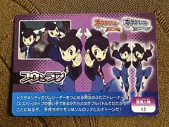 【激レア】フウとラン ORAS スクラップカード ポケモンカード おまけ