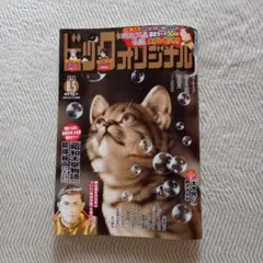 ビッグコミックオリジナル　 最新号2028年8月5日号