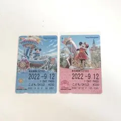 ディズニー フリーきっぷ ミッキー ミニー ドリミ