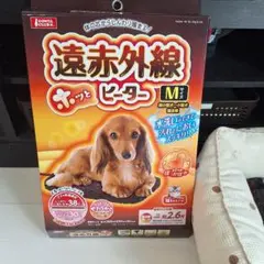 Item thumbnail for item fb67c025-1241-4938-af98-ca0dc84955f3