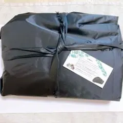 Item thumbnail for item 86008a53-2e21-4f65-bdd4-c93c90efa367