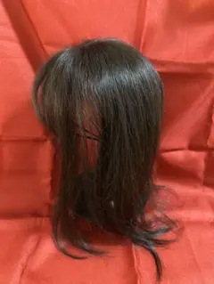 Item thumbnail for item 21126541-dd60-46c4-8245-1212949b6937