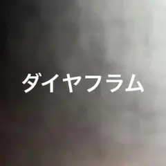 専用ページ　nc31ダイヤフラム一つ