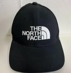 THE NORTH FACE TNF LOGO Cap TNF NN02135