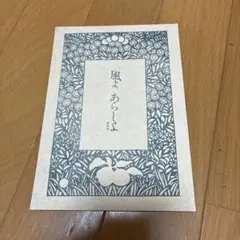 映画　風よあらしよ　パンフレット　　伊藤野枝