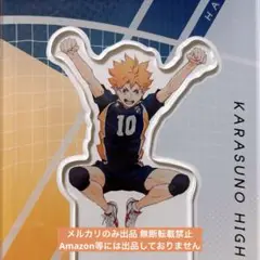 ハイキュー POINT GET!! アクリルスタンド 日向翔陽