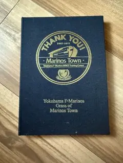 横浜F・マリノス 記念品 Grass of Marinos Town 箱に難あり