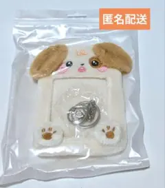 推し活グッズ　アニマル型トレカケース　犬　DMMスクラッチ