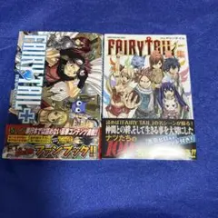 フェアリーテイル ＋　フェアリーテイル 名言集　2冊セット