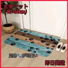 玄関マット　室内　キッチン　洗面所　吸水　速乾性　軽量　コンパクト　かわいい