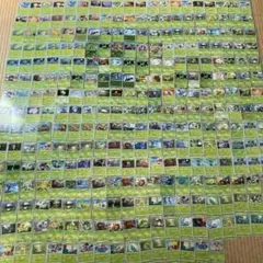 ポケモンカード(ポケカ)新旧まとめ売り 草タイプ