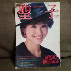昭和57年 明星特別編集 松田聖子B4写真集～折込ポスター 全記録250カット 松田聖子 写真集 明星特別編集 MYOJO BIGSTAGE ポスター付き