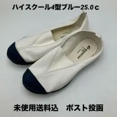 ムーンスター　ハイスクール4型　ブルー　25,0cm ★シミ汚れ多数あり未
