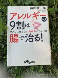 【文庫本】 アレルギーの9割は腸で治る! : クスリに頼らない免疫力のつくり方