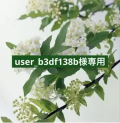 専用
