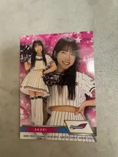 Item thumbnail for item c09cb2af-6312-4377-a5d3-cf3b69eab7dc