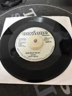 DELROY WILSON/Rain From The Sky