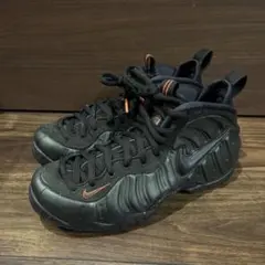 NIKE ナイキ AIR FOAMPOSITE エアフォームポジット
