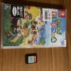 あつまれ どうぶつの森 Nintendo Switch