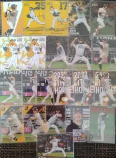 プロ野球チップスカード【福岡ソフトバンクホークス】