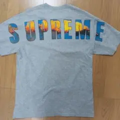 激安☆Supreme Tシャツ Mサイズ