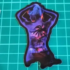 【即購入可能】【新品】防水ステッカー セクシー ad